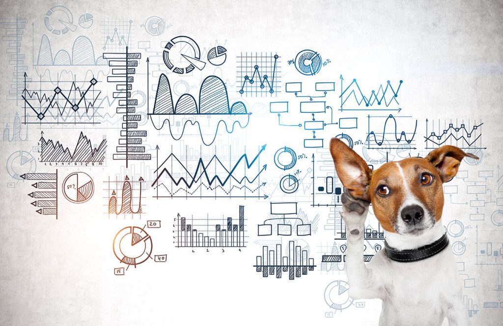 dog Statistics and data analysis concept1