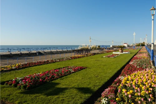 digital marketing Eastbourne seafront lawns