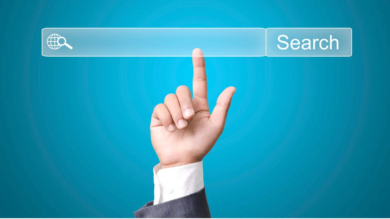 Online findability - Search bar

