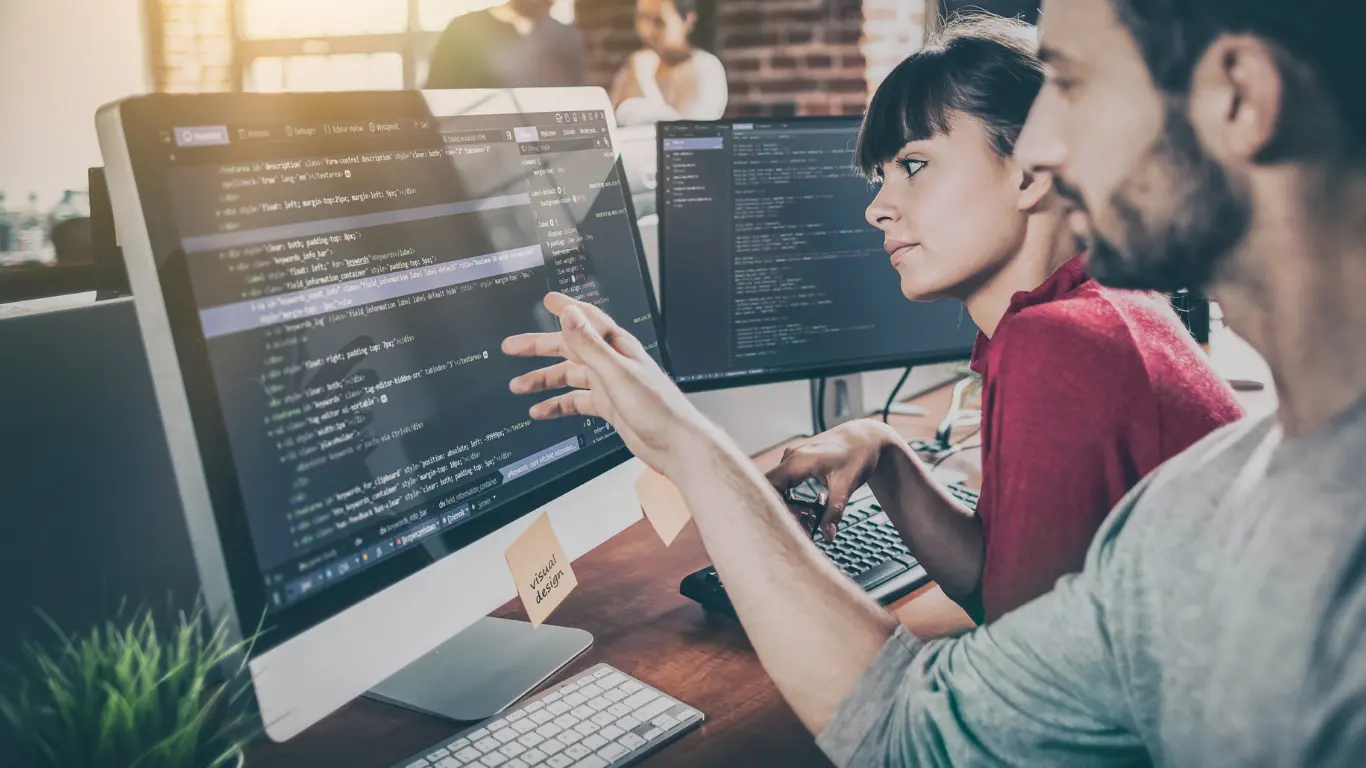 2 professional website maintenance services people at a computer screen