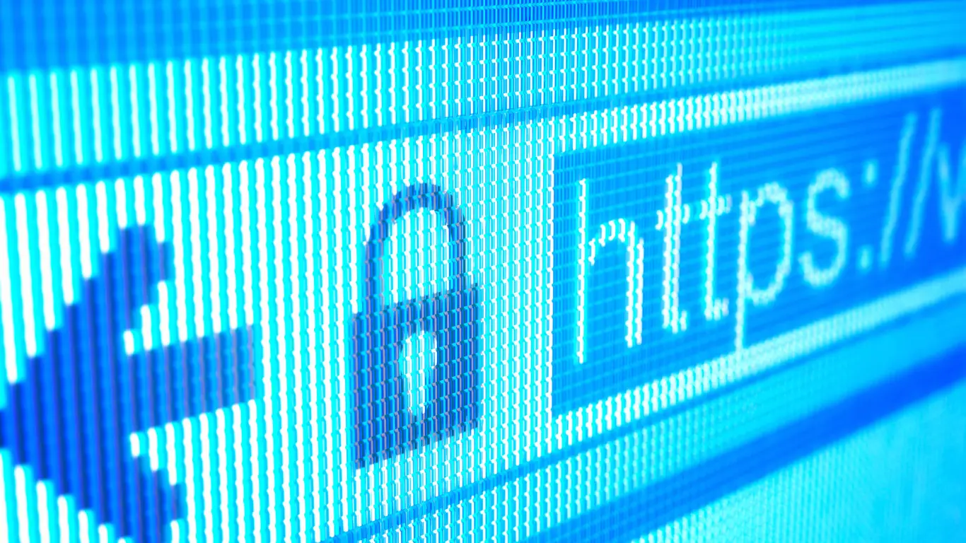 https:// on search bar