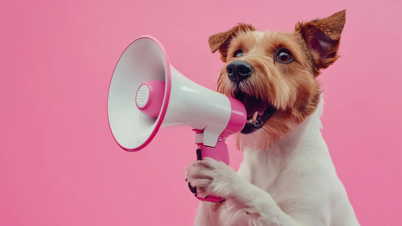 dog with a megaphone on a pink background shouting what is a marketing agency