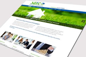 Professional website design - SEICO website homepage